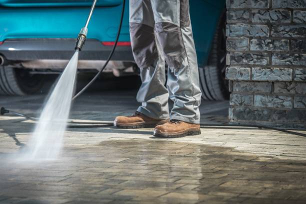 Best Roof Cleaning and Mildew Removal in Solon, IA