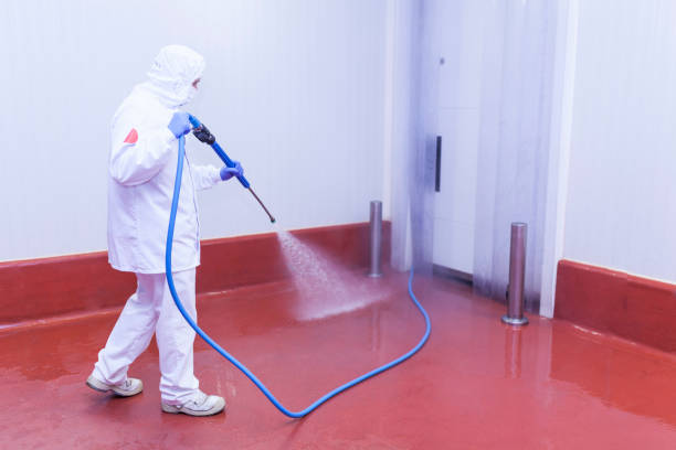 Best Soft Washing for Delicate Surfaces in Solon, IA